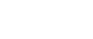 ICEX VIVES