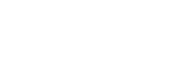 ICEX VIVES