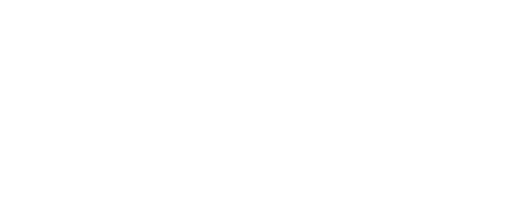 mini-logo-white